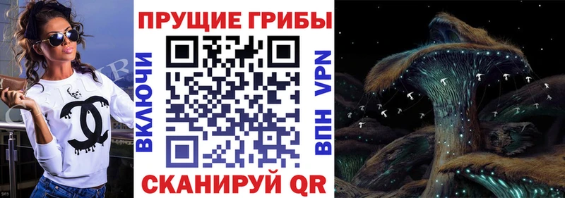 Галлюциногенные грибы мухоморы  Купить где  Белый 